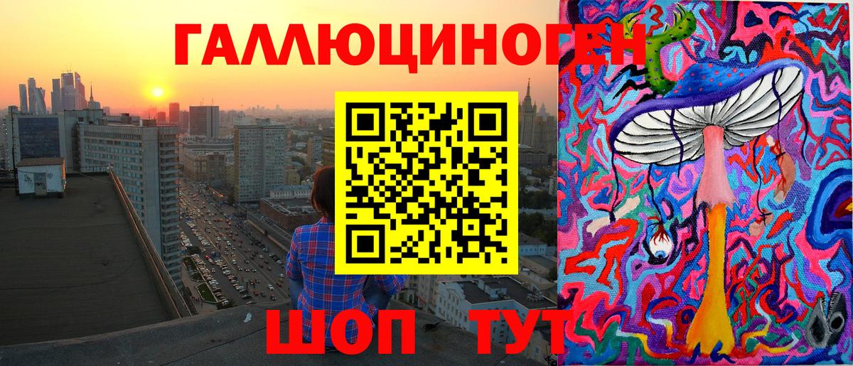 Новозыбков  Галлюциногенные грибы мицелий  Вход с VPN 