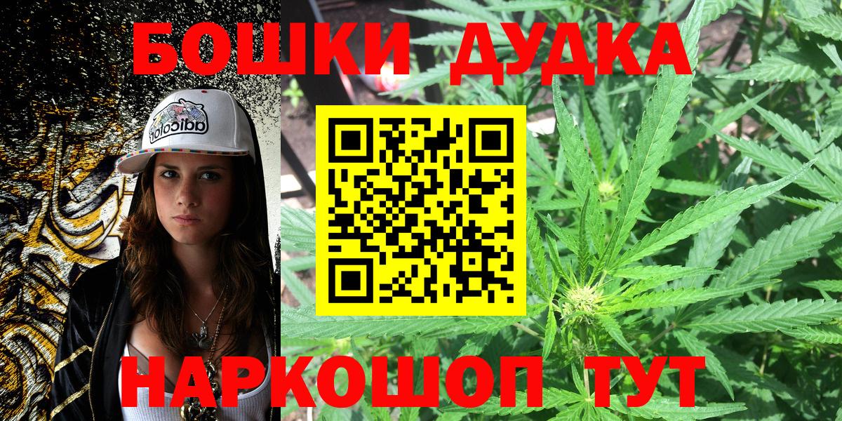 Конопля планчик Новозыбков